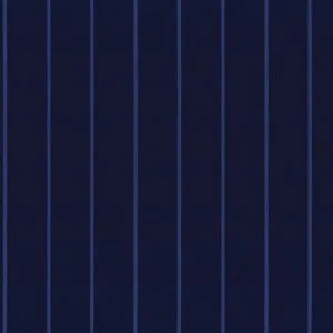 Blue Striped fabric swatch