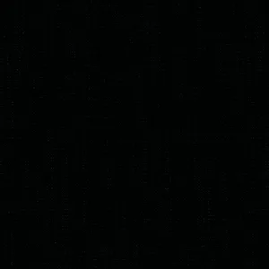 Black Solid fabric swatch