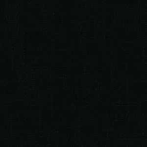 Forest Solid fabric swatch