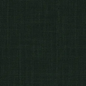 Forest Solid fabric swatch