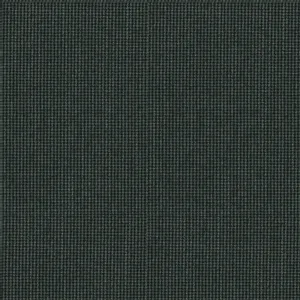 Charcoal Solid fabric swatch
