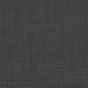 Charcoal Solid fabric swatch