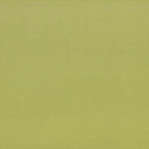 Tan Solid fabric swatch