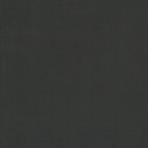 Charcoal Solid fabric swatch