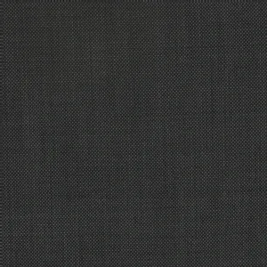 Charcoal Solid fabric swatch