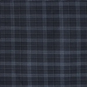 Blue Striped fabric swatch