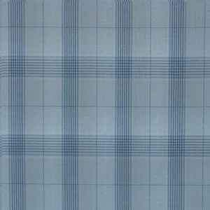 Blue Check fabric swatch