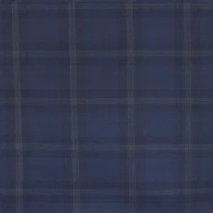Blue Striped fabric swatch