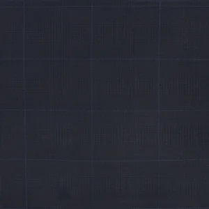 Blue Striped fabric swatch