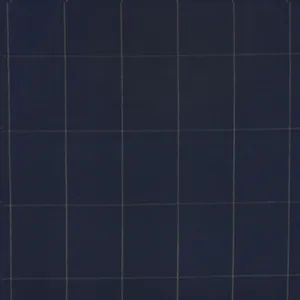 Blue Textured fabric swatch