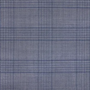 Blue Check fabric swatch