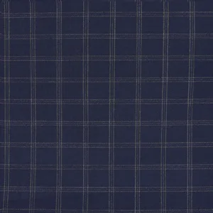 Blue Striped fabric swatch