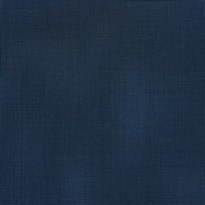 Blue Striped fabric swatch