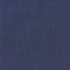 Blue Textured fabric swatch