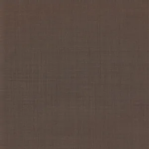Red Solid fabric swatch