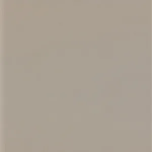 Light Grey Solid fabric swatch