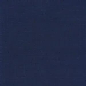 Blue Textured fabric swatch