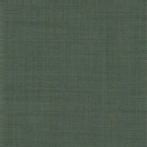 Red Solid fabric swatch