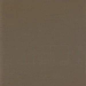 Tan Solid fabric swatch