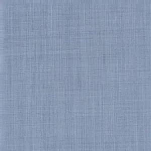 Blue Textured fabric swatch