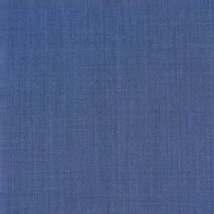 Blue Textured fabric swatch